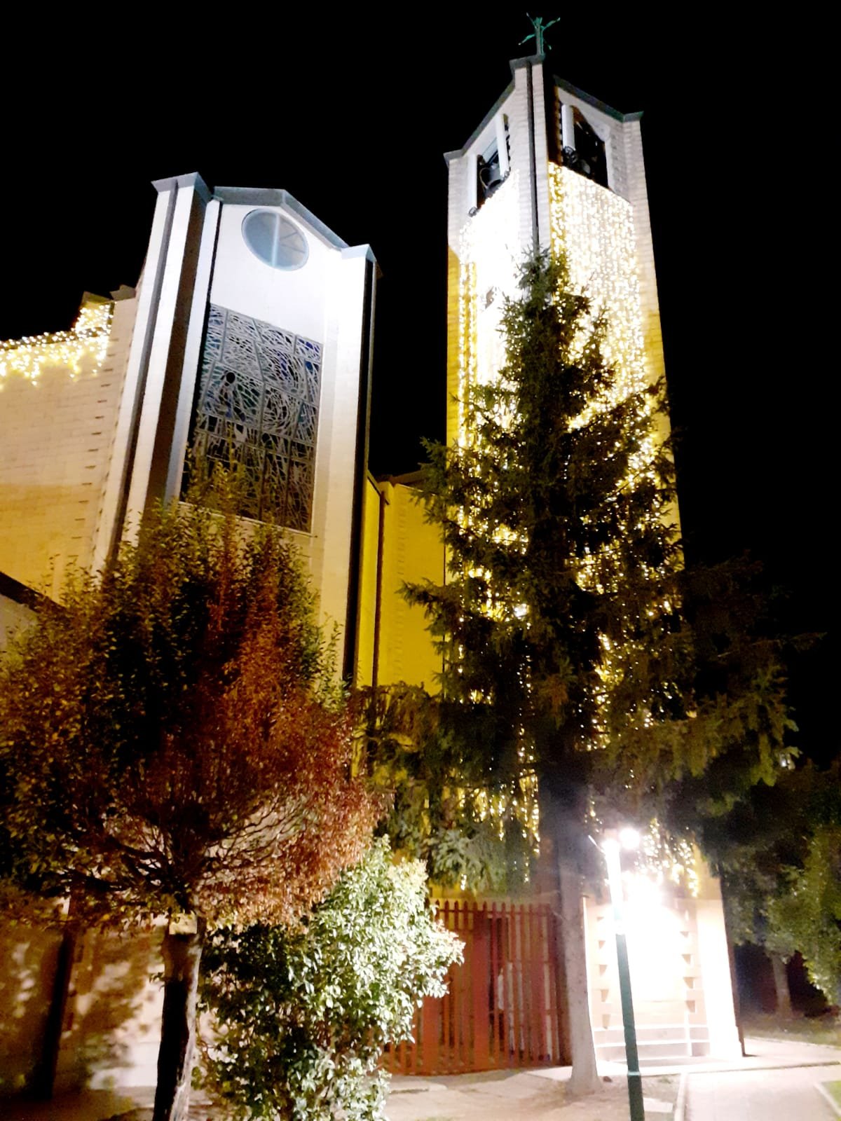 Festa di Sant' Alberto Magno 2023