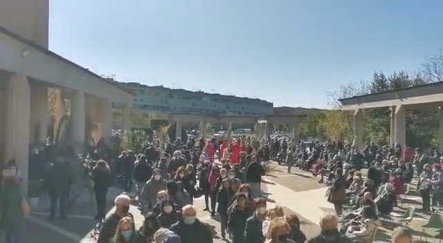 Solennità delle palme 2022