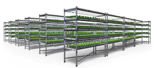 Green State Vertical Farm