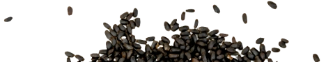 Seeds