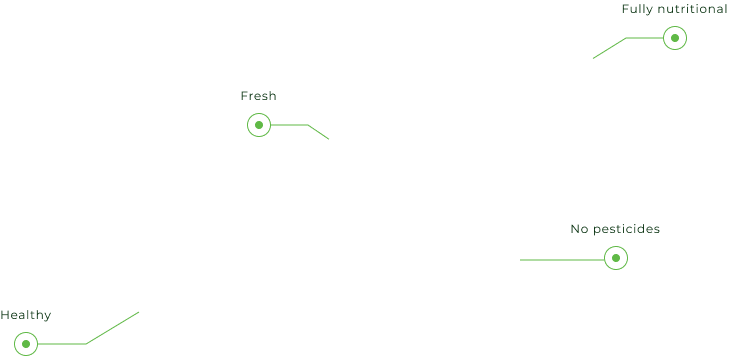 growing outcome/process, digitalisation chart