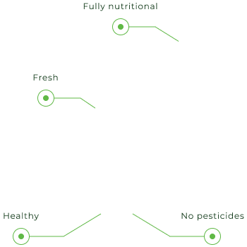 growing outcome/process, digitalisation chart