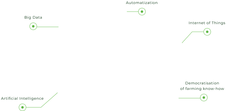 growing outcome/process, digitalisation chart