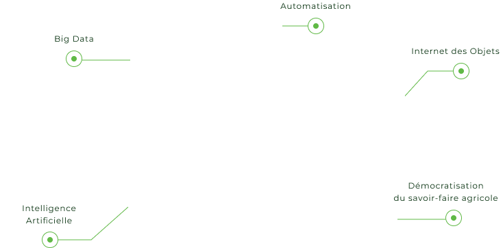 growing outcome/process, digitalisation chart