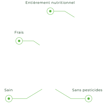 growing outcome/process, digitalisation chart