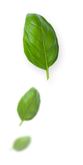 GreenState AG Plant
