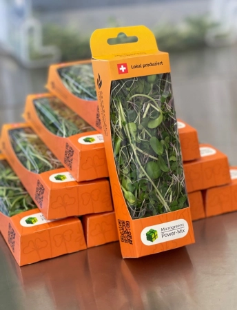 GreenState AG Microgreens Farm
