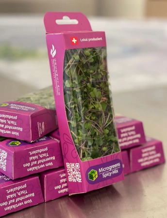GreenState AG Microgreens