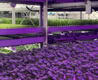 GreenState AG Module Q4