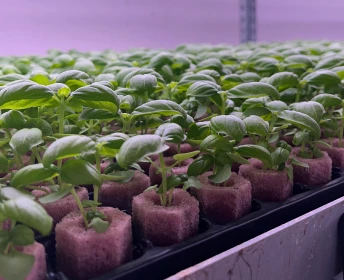 GreenState AG Module Q3