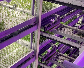 GreenState AG Module Q2