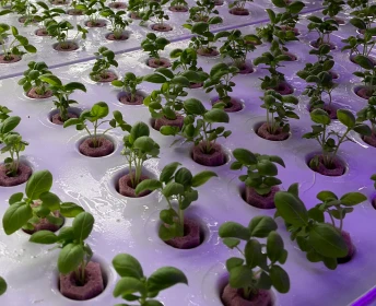 GreenState AG Module Q1