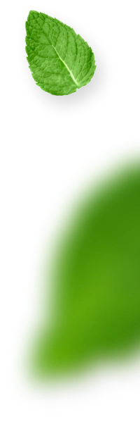 GreenState AG Plants