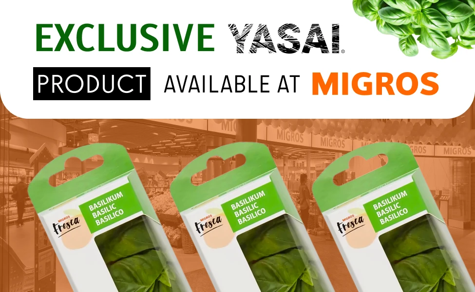 Yasai product in Migros