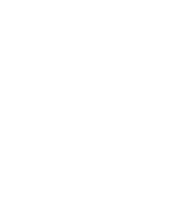 Stallion Overseas Consultants icon