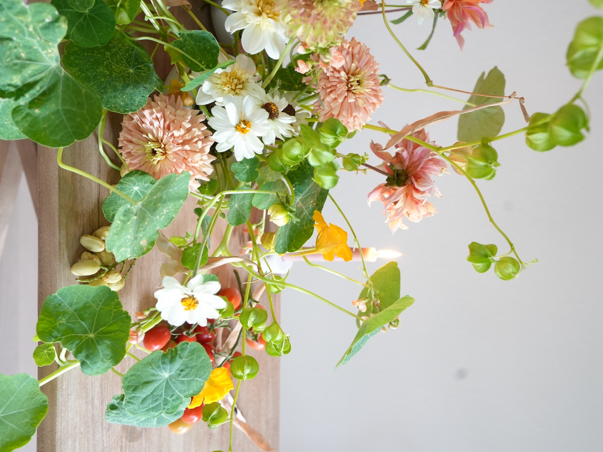 Nununectar garden flowers