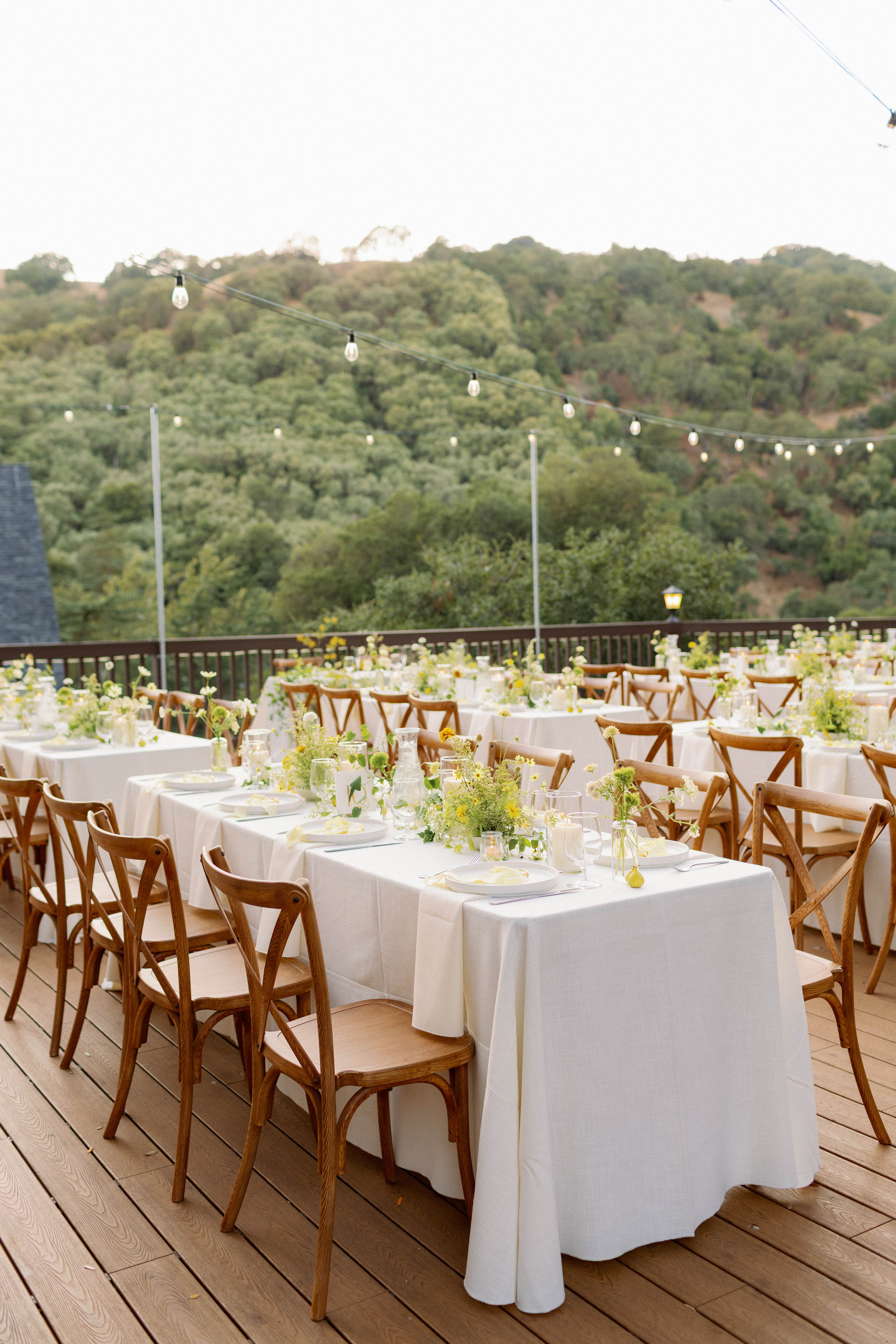 Briana & Nicolas vineyard reception