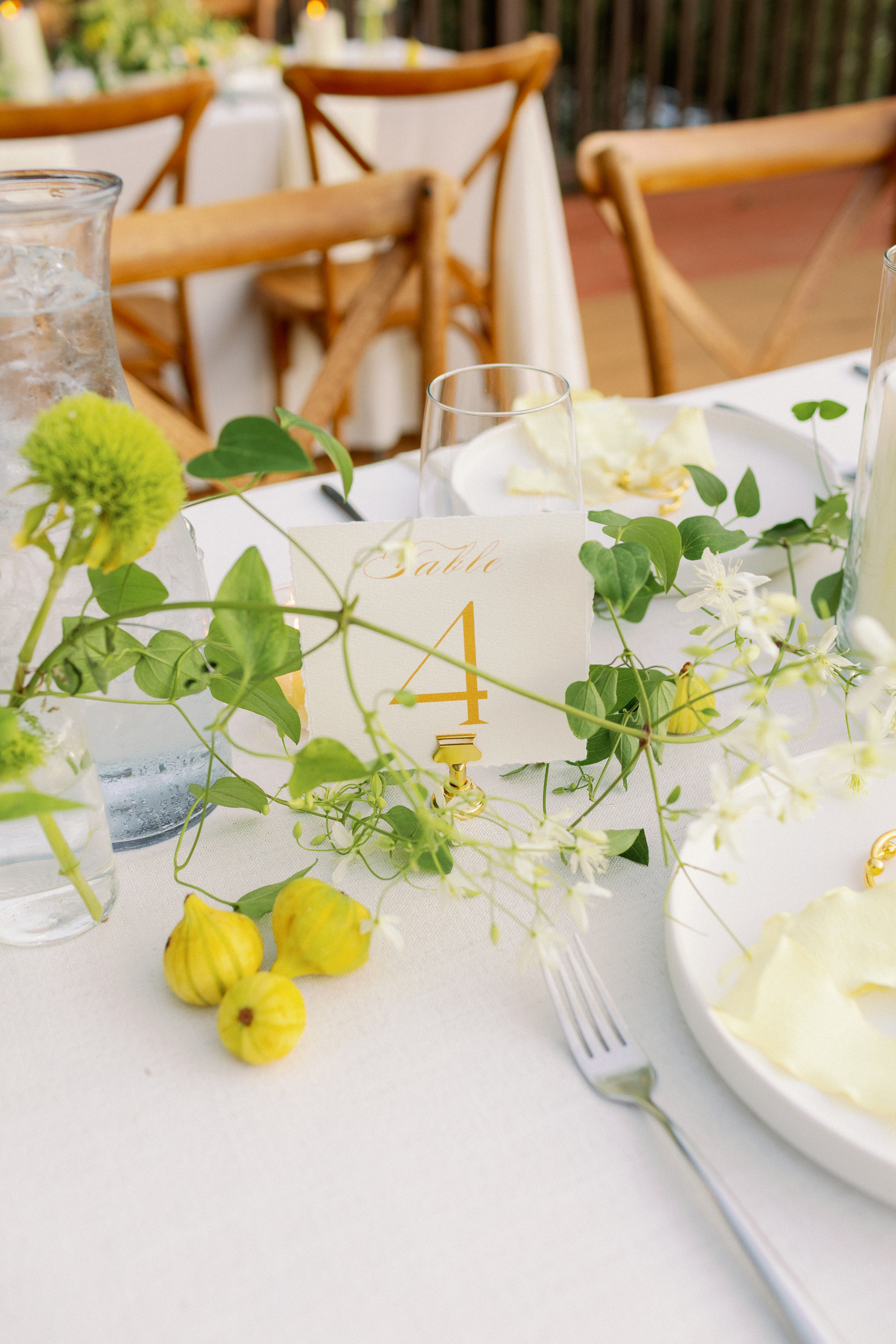 Briana & Nicolas wedding