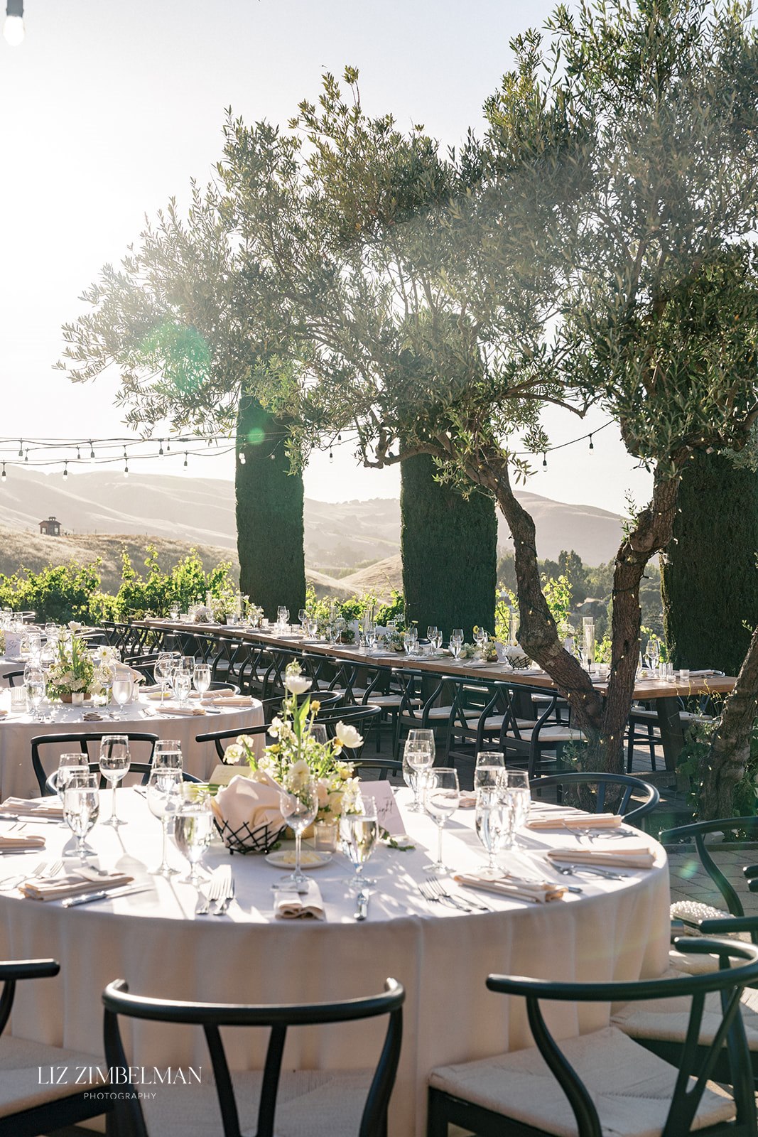 Alice & Paul reception tables at Viansa Winery