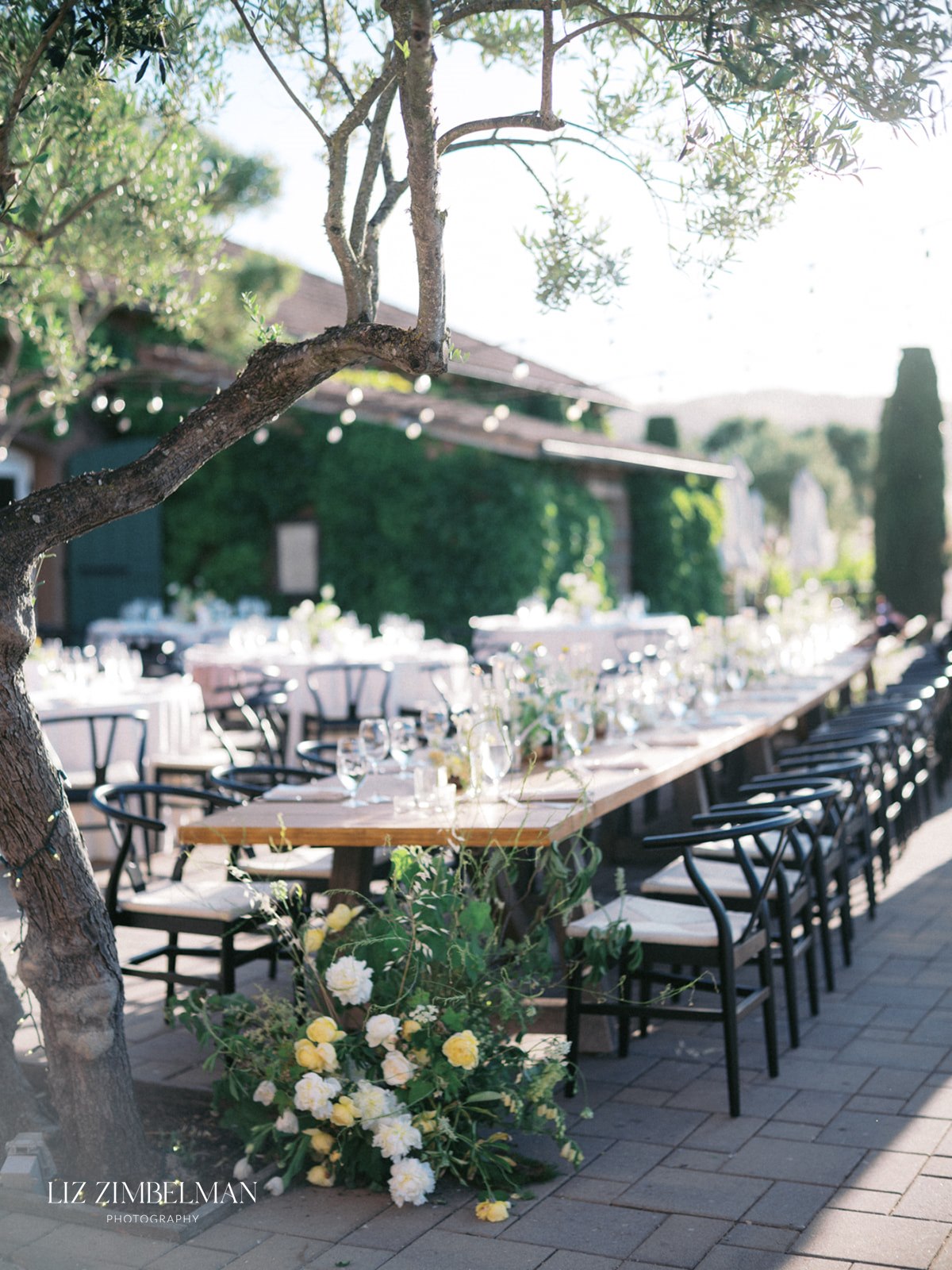 Reception long table with floral runner under olive trees