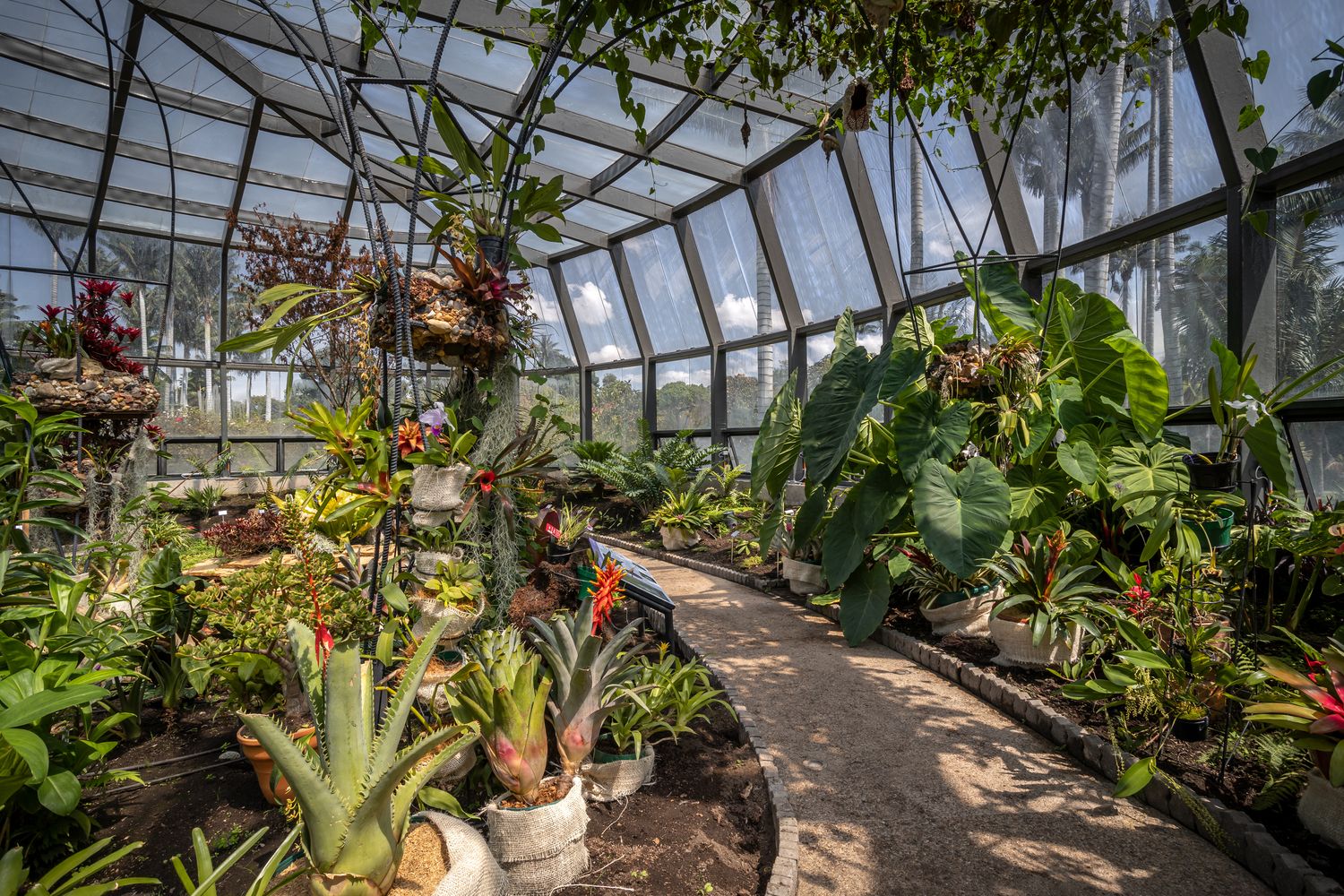 jardin botanico de bogota