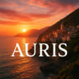 Syndics de copropriété à AURIS (38142)
