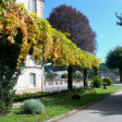 Syndics de copropriété à GIVRY (71640)