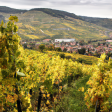 Syndics de copropriété dans le département Haut-Rhin (Grand Est)