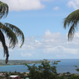 Syndics de copropriété dans le département Martinique (Martinique)