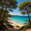 Syndics de copropriété à NANS LES PINS (83860)