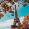 Syndics de copropriété à PARIS 09 (75009)