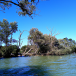 Syndics de copropriété dans le département Landes (Nouvelle-Aquitaine)