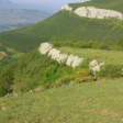 Syndics de copropriété à LANS EN VERCORS (38250)