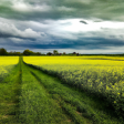 Syndics de copropriété dans le département Yonne (Bourgogne-Franche-Comté)