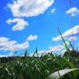 Syndics de copropriété à EVRY (91000)