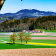 Syndics de copropriété à OSTWALD (67540)
