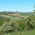 Syndics de copropriété dans le département Haute-Saône (Bourgogne-Franche-Comté)