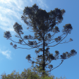 Syndics de copropriété à WASQUEHAL (59290)