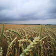 Syndics de copropriété dans le département Somme (Hauts-de-France)