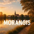 Syndics de copropriété à MORANGIS (91420)