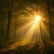 Syndics de copropriété à LUCE (28110)