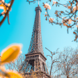 Syndics de copropriété à PARIS 06 (75006)