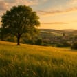 Syndics de copropriété à TOSSE (40230)