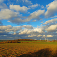 Syndics de copropriété à HOENHEIM (67800)