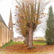 Syndics de copropriété à ST ARNOULT EN YVELINES (78730)