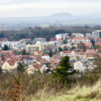 Syndics de copropriété à WITTELSHEIM (68310)
