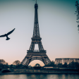 Syndics de copropriété à PARIS 05 (75005)
