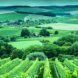 Syndics de copropriété dans le département Meurthe-et-Moselle (Grand Est)
