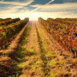 Syndics de copropriété à LESPARRE MEDOC (33340)