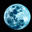 Syndics de copropriété à TASSIN LA DEMI LUNE (69160)